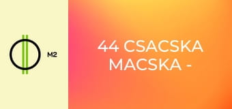 44 csacska macska - Nasi a tanyán