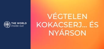 Végtelen kokacserje-ültetvények és nyárson sült tengerimalac. Bolívia.