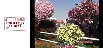 Градината на чудесата в Дубай