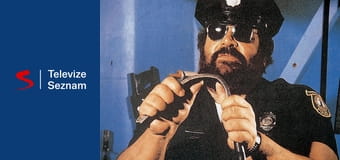 Superpolicajti z Miami