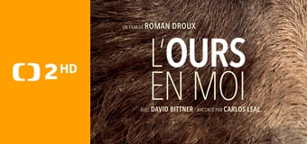 Naši bratři medvědi