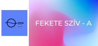 Fekete szív - A Sansalan család titka E20