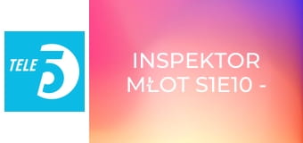 Inspektor Młot S1E10 - Gdybym miał młoteczek