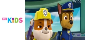 A Mancs őrjárat S4E6 - Jake tortájának megmentése / Veszélyes kaland