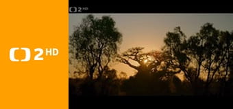 V novém světle - Aktivní stáří