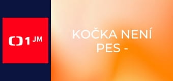 Kočka není pes - Nečistotný Švihák s Mourkem a nevyzpytatelná Lilinka