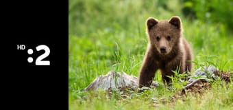 Život v Karpatoch E3 - Jeseň Život v Karpatoch E3 - Jeseň