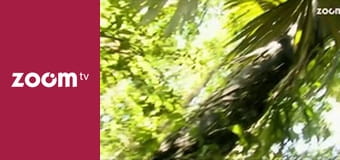 Wojciech Cejrowski - boso przez świat S1E20 - Zupa z małpy