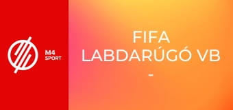 FIFA labdarúgó vb - háttértörténetek
