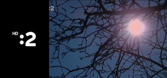 Herbárium E5 - Bylinky z Kláštora pod Znievom