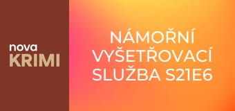 Námořní vyšetřovací služba S21E6 - Podivní vetřelci