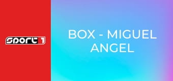 Box - Miguel Angel Cotto - Carlos Ramirez