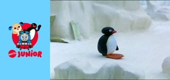 The Pingu Show Sezon 1 Episod 37
