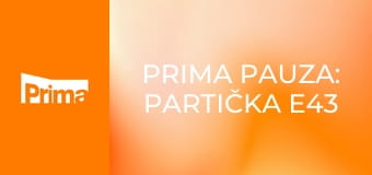 Prima Pauza: Partička E43 - Otázka: Cestující v letadle se pustí do řeči