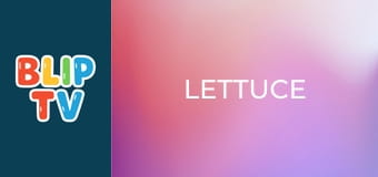 Lettuce Lettuce