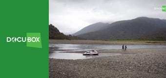 Polowa kuchnia Angela E7 - Łosoś