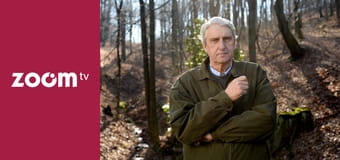 Sensacje XX wieku S1E17 - Najwyższa stawka Sensacje XX wieku S1E17 - Najwyższa stawka