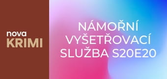 Námořní vyšetřovací služba S20E20 - Druhý názor