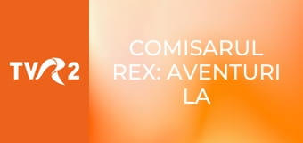 Comisarul Rex: aventuri la Viena E99