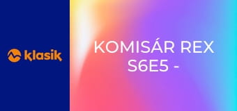 Komisár Rex S6E5 - Miliónový kôň