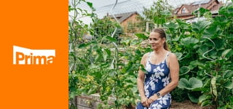 Zahradnice po ruce Zahradnice po ruce