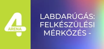 Labdarúgás: Felkészülési mérkőzés - Svájc – Németország