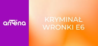 Kryminał Wronki E6
