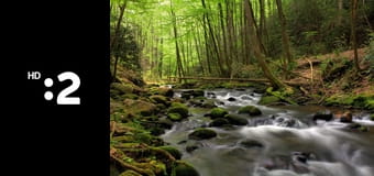 Symbióza v prírode E1 - Hory