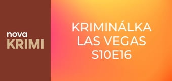 Kriminálka Las Vegas S10E16 - Kalhotkoví čmuchalové