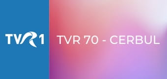 TVR 70 - Cerbul de Aur: Generaţii