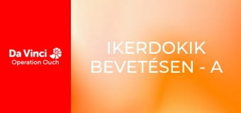 Ikerdokik bevetésen - A tüsszentés háttere Ikerdokik bevetésen - A tüsszentés háttere