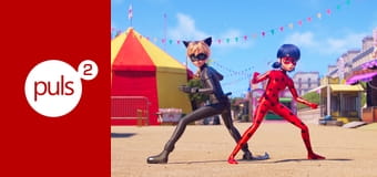 Miraculous: Biedronka i Czarny Kot. Film