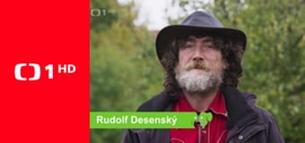 Kočka není pes - Nepochopený Nero a problematičtí Leo s Pauliem