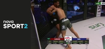 MMA: PFL MENA
