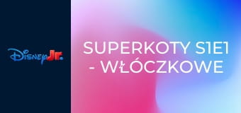 Superkoty S1E1 - Włóczkowe harce / Duży problem