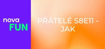 Přátelé S8E11 - Jak Ross pokročil