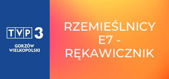 Rzemieślnicy E7 - Rękawicznik