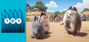 Пончари. Глобальне заокруглення