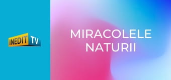 Miracolele naturii