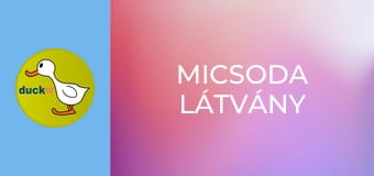 Micsoda látvány Micsoda látvány