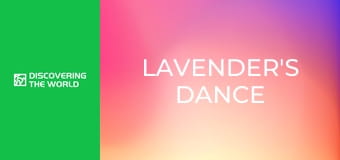 Lavender's Dance
