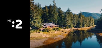 O stromoch a lesoch E4 - Breza ďalekého severu