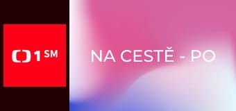 Na cestě - po Aucklandu