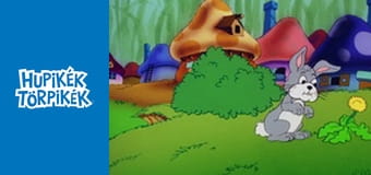 Törpicúr eltünt / A legkisebb boszorkány