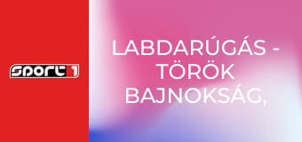 Labdarúgás - török bajnokság, 24. forduló, összefoglaló, ism., HD