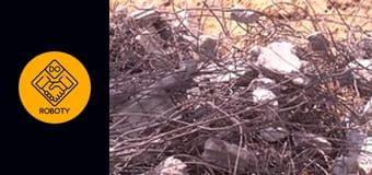 CIĘCIE DIAMENTEM - 20 TYS ZŁ ZA WYBURZENIE MOSTU?!