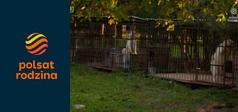 Drwale i inne opowieści Bieszczadu S15E19