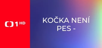 Kočka není pes - Nečistotný Švihák s Mourkem a nevyzpytatelná Lilinka