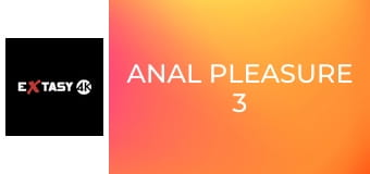 Anal Pleasure 3