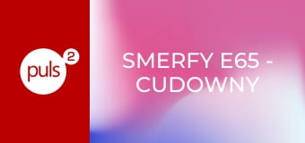 Smerfy E65 - Cudowny smerfer